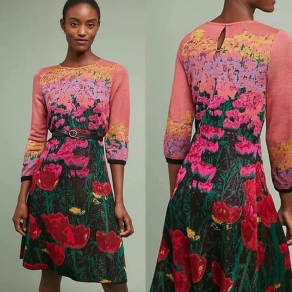 Anthropologie Dresses & Skirts - Anthropologie Aldomartins Lisse Floral 3/4 Sleeve Fit & Flare Dress SZ Medium
